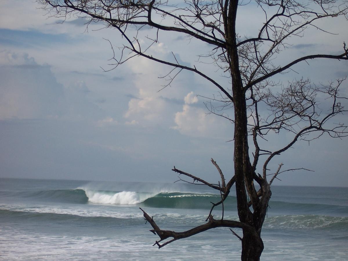 Santa Teresa Surf Vista Villas Playa Santa Teresa  Ngoại thất bức ảnh