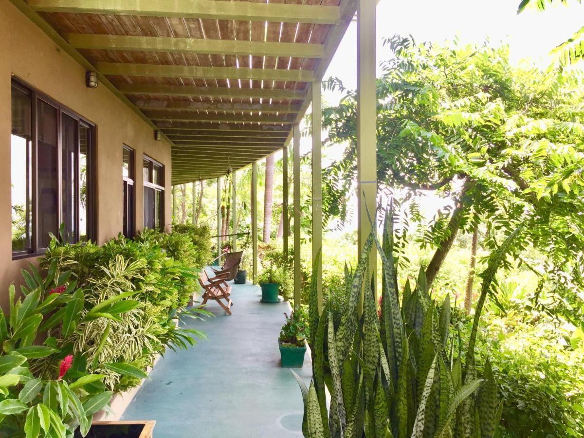 Santa Teresa Surf Vista Villas Playa Santa Teresa  Ngoại thất bức ảnh
